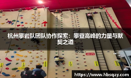 杭州攀岩队团队协作探索：攀登高峰的力量与默契之道